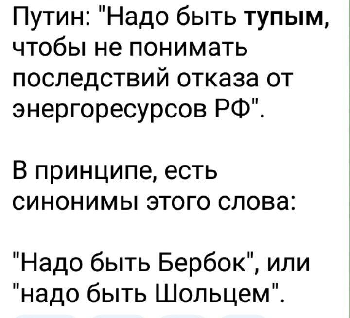 Путин Надо быть тупым чтобы не понимать последствий отказа от энергоресурсов РФК В принципе есть синонимы этого слова Надо быть Бербок или надо быть Шольцем