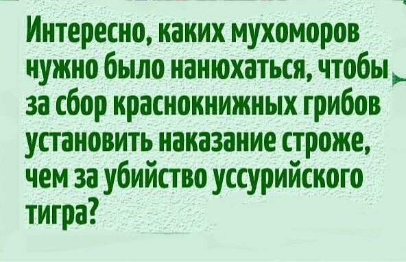 Интересно каких мухоморов нужно было ианюхаться чтобы за сбор красноккижных грибов установить каказаиие строже чем за убийство уссурийского тигра