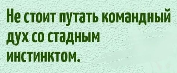 Не стоит путать командный дух со стадным инстинктом