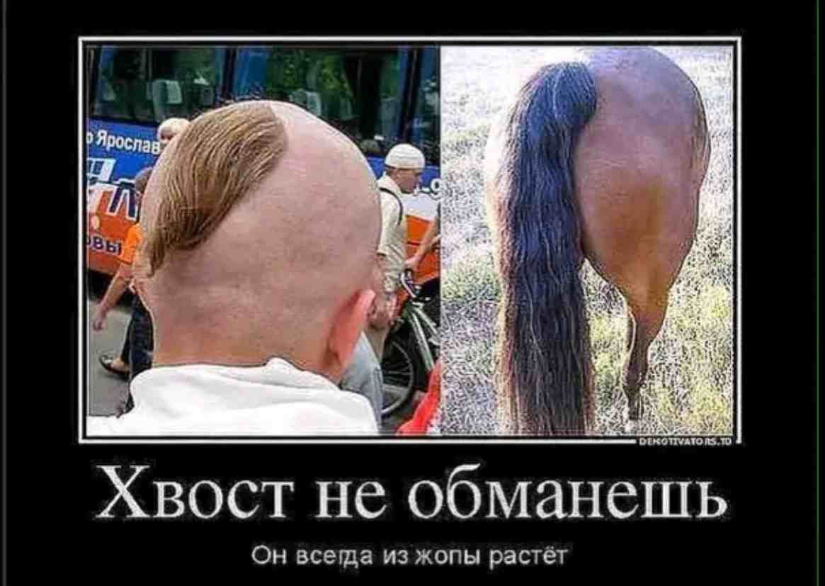 Хвост не обманешь ом маши из жопы растет