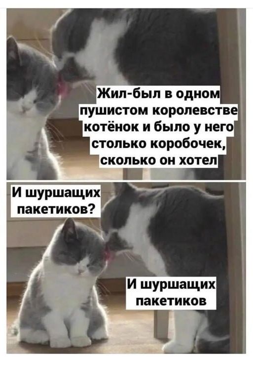 Жил был в одно пушистом королевств котёнок и было у него столько коробочек сколько он хотел И шуршащих пакетиков И шуршащих пакетиков