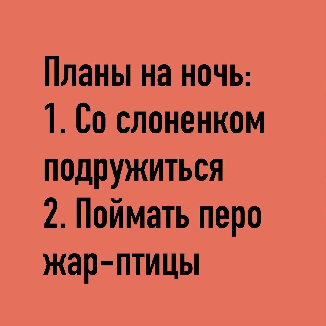 Со слоненком подружиться и поймать перо. Планы на ночь со слоненком подружиться. Планы на вечер со слоненком подружиться и поймать перо Жар птицы. Планы на вечер со слоненком подружиться. Планы на вечер 1. со слонёнком подружиться 2. поймать перо жарптицы.