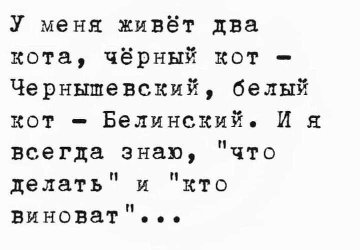 У меня живёт два кота чёрный кот Чернышевский белый кот Белинский И я всегда знал что делать и кто виноват