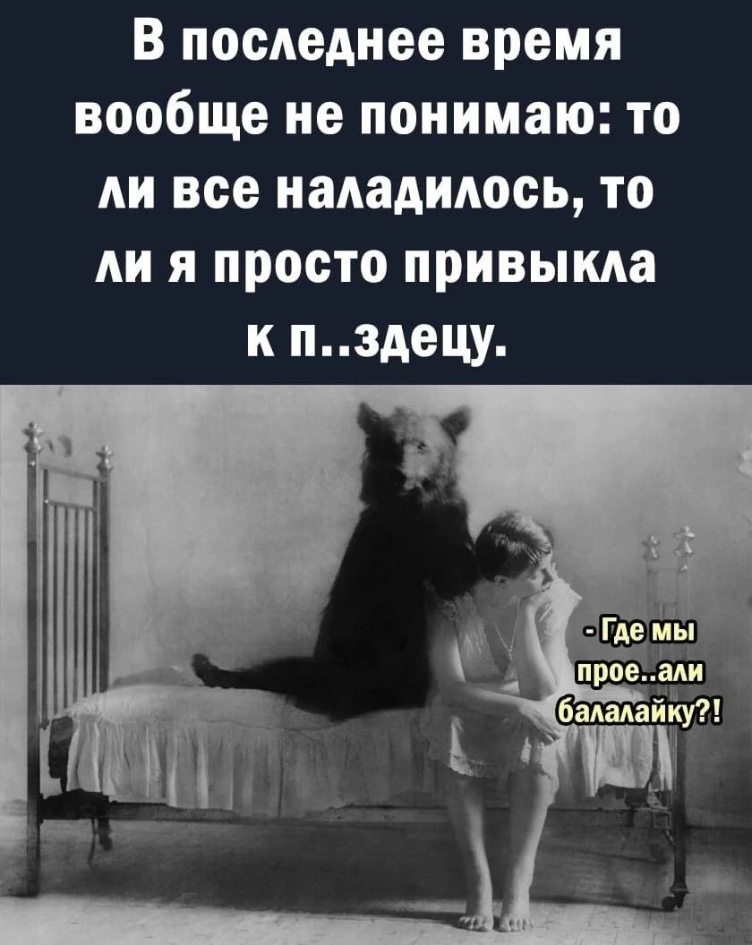 В последнее время вообще не понимаю то ли все наладилось то ли я просто привыкла к пэдецу