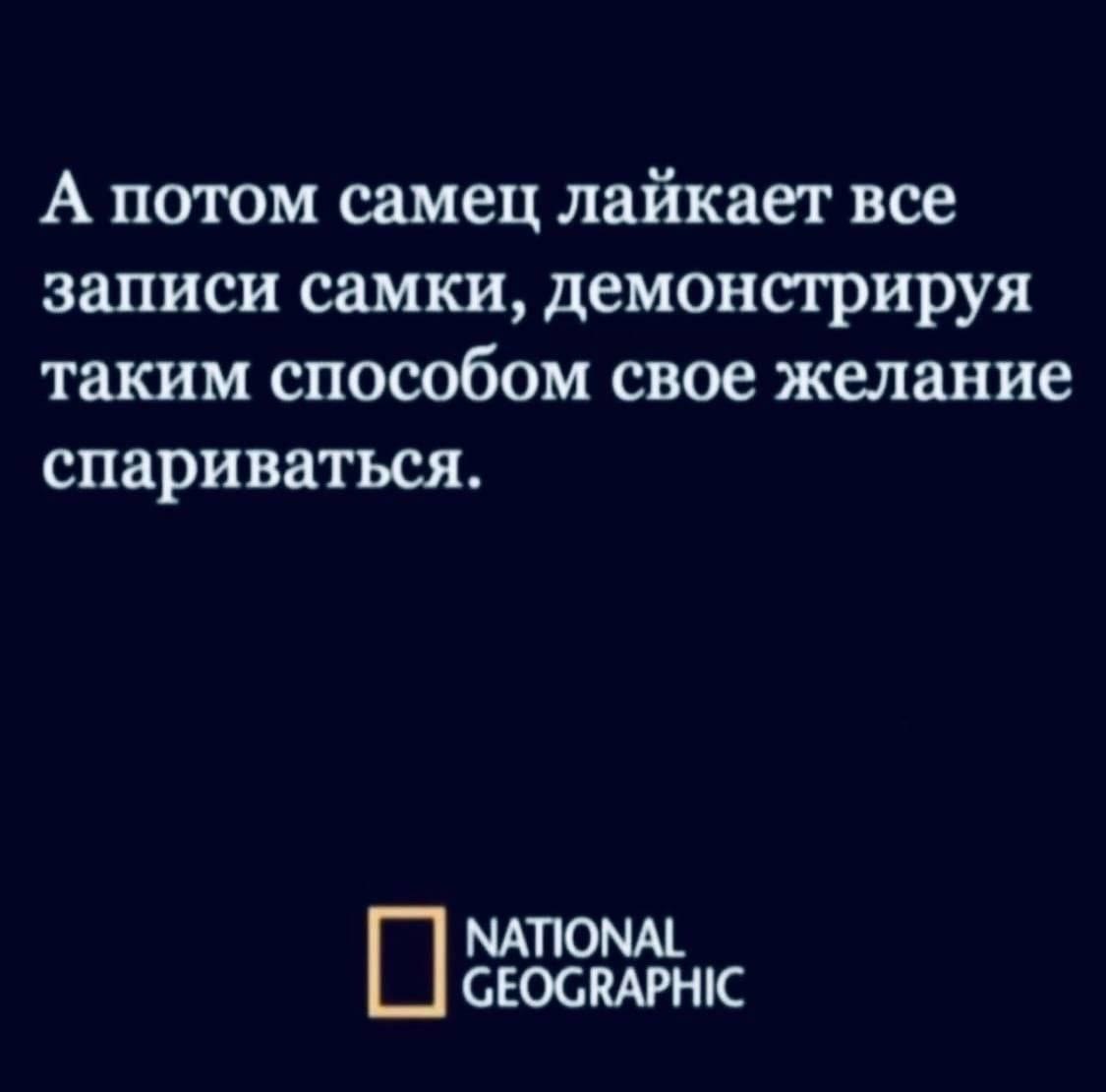 А поюм самец лайкает все записи самки демонстрируя таким способом свое желание спариваться МАЛОМ СЕОСПАРНК