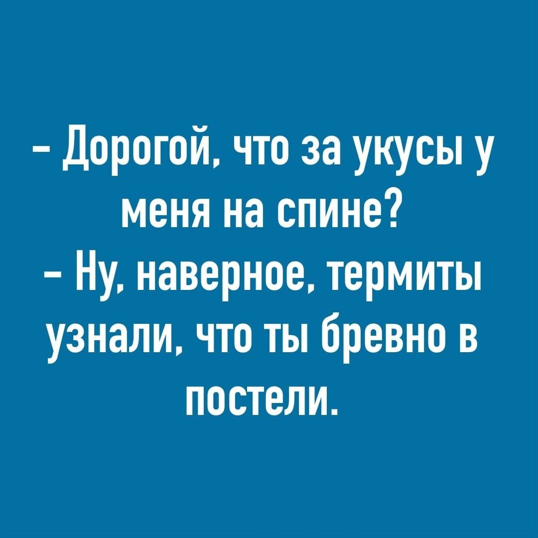 Дорогой что за укусы у меня на спине Ну наверное термиты узнали что ты бревно в постели