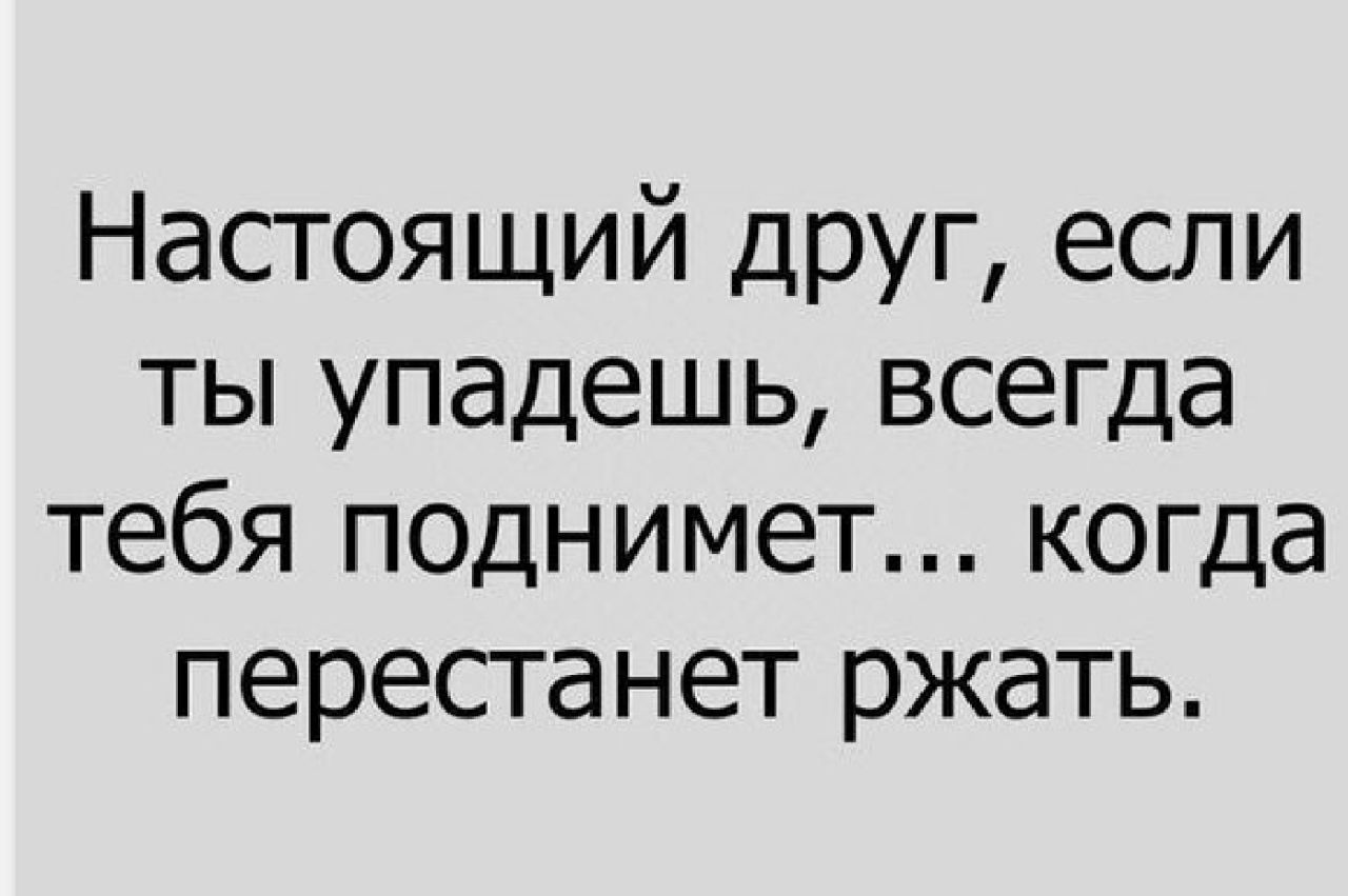 Настоящий друг если ты упадешь всегда тебя поднимет когда перестанет ржать