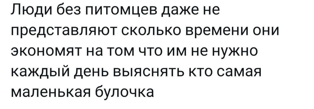 Люди без питомцев даже не представляют сколько времени они ЭКОНОМЯТ на ТОМ ЧТО ИМ не НУЖНО каждый день ВЫЯСНЯТЬ КТО самая маленькая булочка