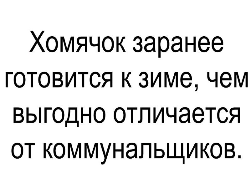 Хомячок заранее готовится к зиме чем выгодно отличается от коммунальщиков