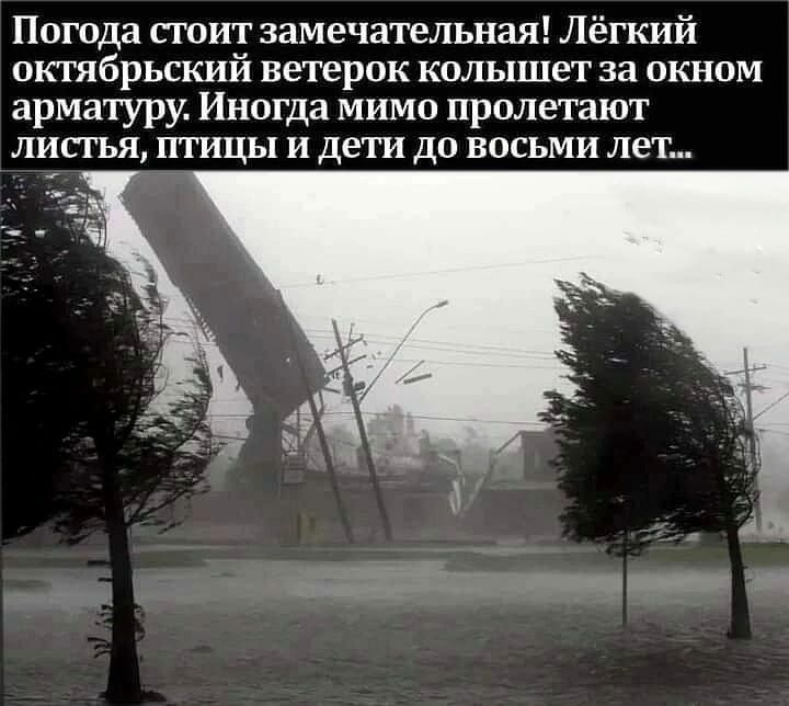 Погода сюит замечательная Лёгкий ОКТЯБРЬСКИЙ ветерок колышет за ОКНОМ арматуру Иногда мимо пролетают листья птицы и дети до восьми лет