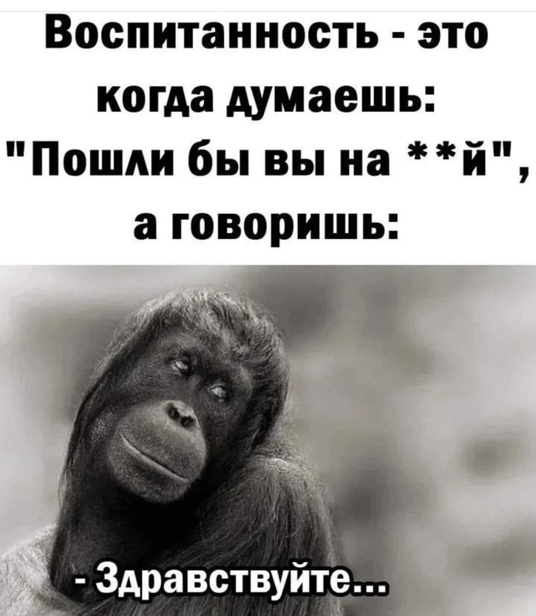 Воспитаниость это когда думаешь Пошли бы вы на й а говоришь 3дравствуйте