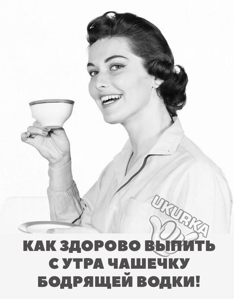 кпк здорово ыЁт ь ути чешнчку водгя ЩЕЙ ВОДКИ