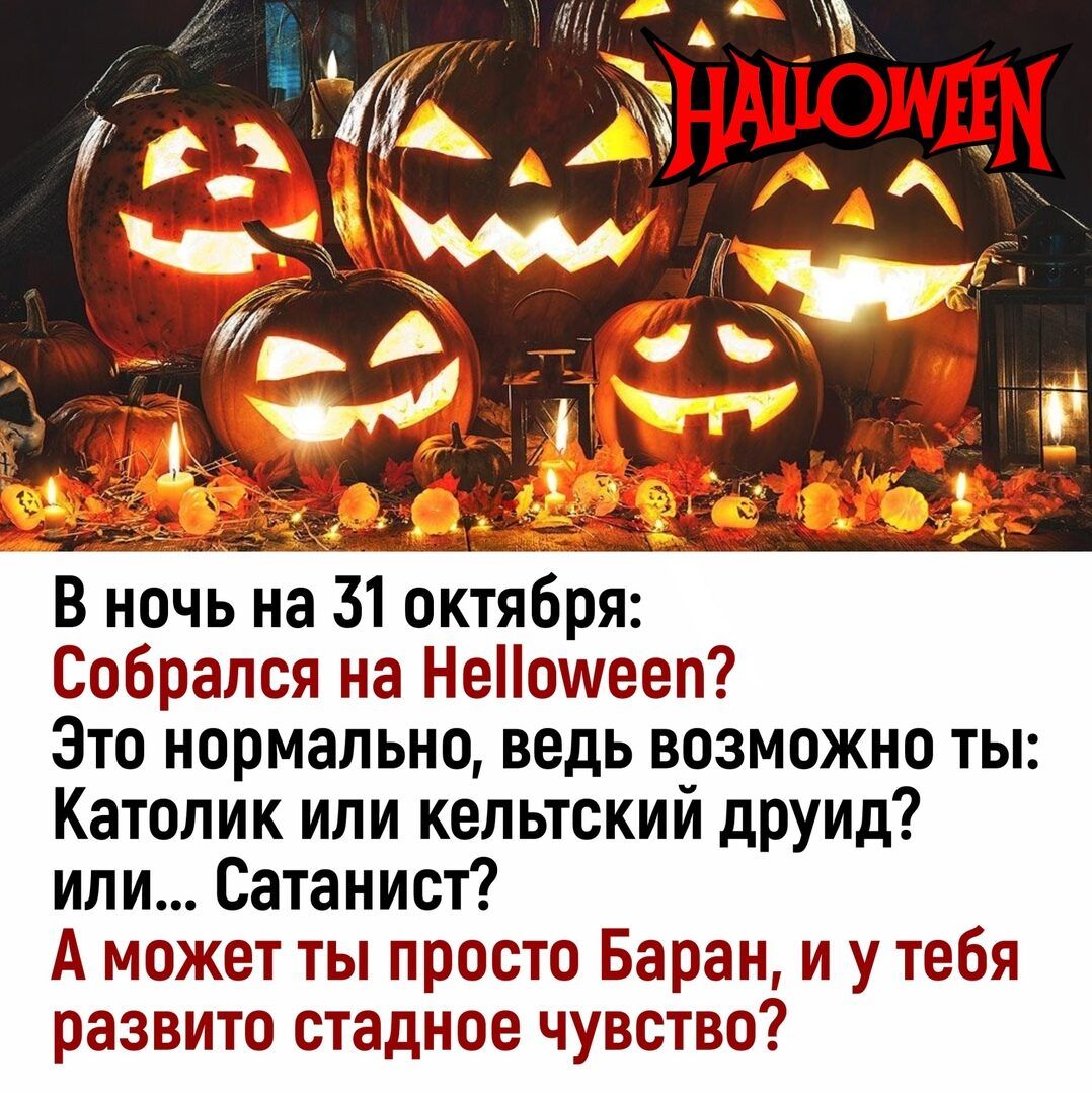 В ночь на 31 октября Собрался на Неошееп Это нормально ведь возможно ты Католик или кельтский друид или Сатанист А может ты просто Баран и у тебя развито стадное чувство