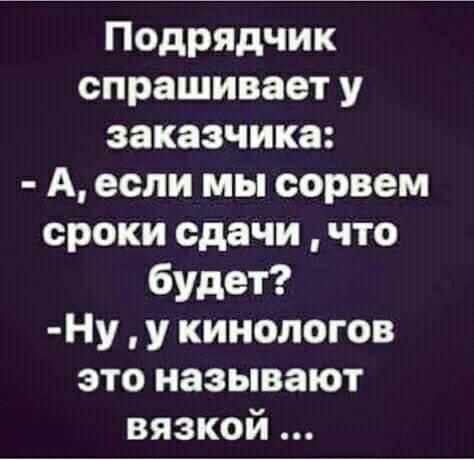 Подрядчик спрашивает у заказчика А если мы сорвем сроки сдачи что будет Ну у кинологов это называют вязкой