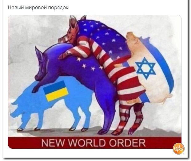 новый мирок повязок
