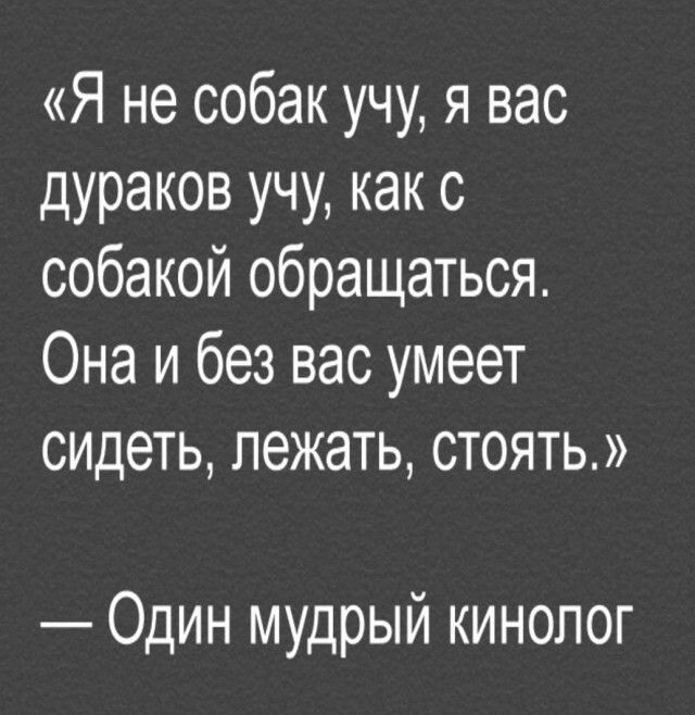 Я не собак учу я вас дураков учу как с собакой обращаться Она и без вас умеет сидеть лежать стоять Один мудрый кинопог