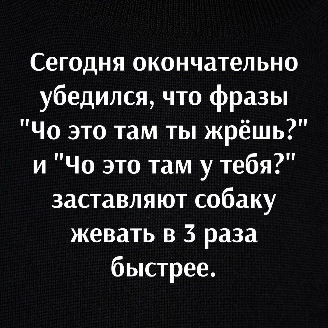 Сегодня окончательно убедился что фразы Чо это там ты жрёшь и Чо это там у тебя заставляют собаку жевать в 3 раза быстрее