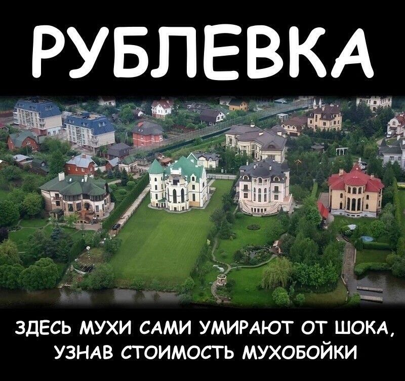 РУБЛЕВКА ЗДЕСЬ МУХИ САМИ УМИРАЮТ ОТ ШОКА УЗНАВ СТОИМОСТЬ МУХОБОЙКИ