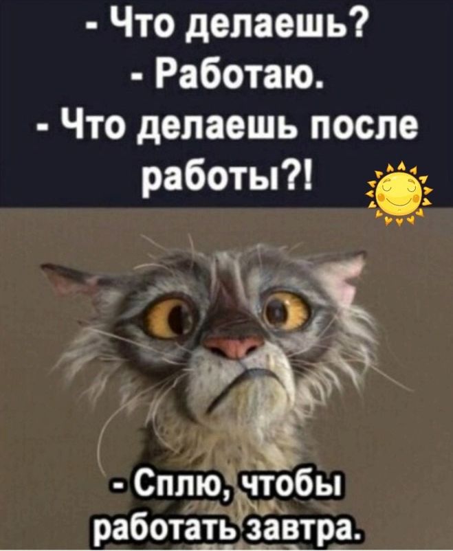 Что делаешь Работаю Что делаешь после работы Сплю чтобы работатёравтра