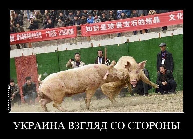 УКРАИНА ВЗГЛЯД СО СТОРОНЫ