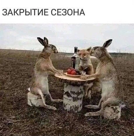 ЗАКРЫТИЕ СЕЗОНА