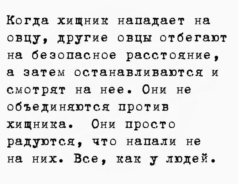 Когда хищник нападает на овцу другие овцы отбегавт на безопасное расстояние затем останавливаются и смотрят на нее Они не объединяются против хищника Они просто радуются что напали не на них Все как у людей