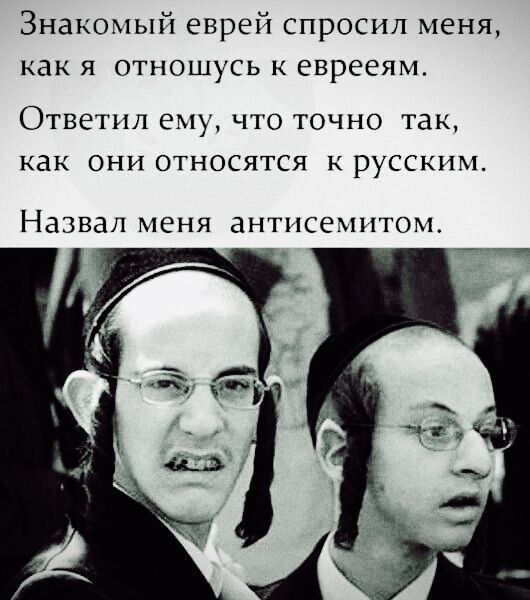 Знакомый еврей спросил меня как я отношусь еврееям ОТВЕТИЛ ему ЧТО ТОЧНО ТЗК как ОНИ ОТНОСЯТСЯ К РУССКИМ Назвал меня антисемитом