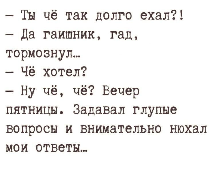 Тв чё так долго ехал да гаишник гад тормознул Чё хотел Ну чё чё Вечер пятницы Задавал глупые вопросы и внимательно нюхал мои ответы