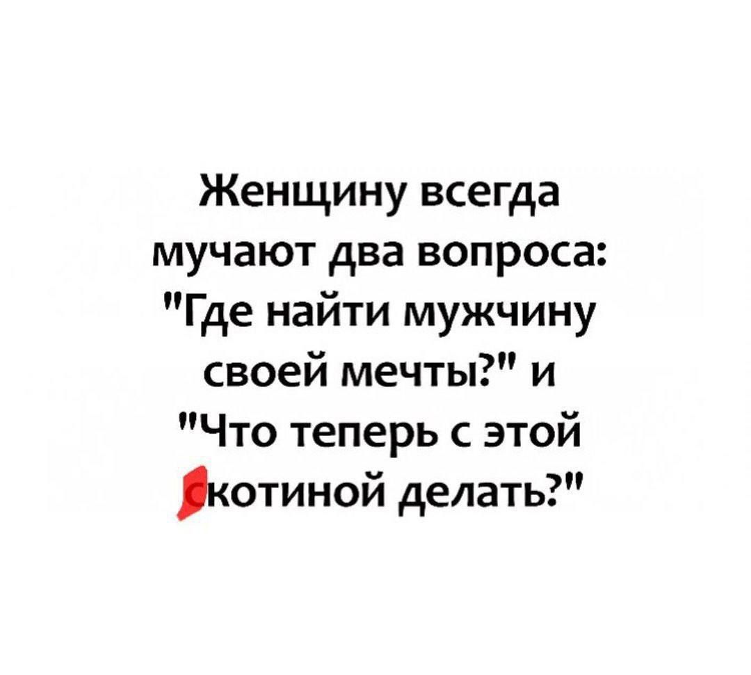 Женщину всегда мучают два вопроса Где найти мужчину своей мечты и Что теперь с этой котиной делать