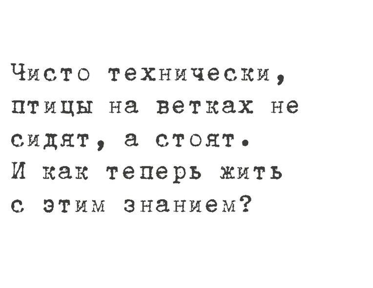 Чисто технически птицы на ветках не сидят стоят И как теперь жить с этим знанием