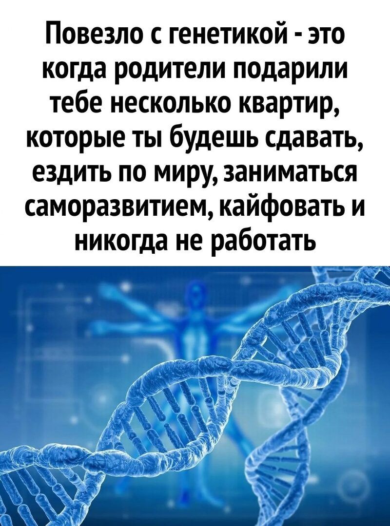 Повезло с генетикой это когда родители подарили тебе несколько квартир которые ты будешь сдавать ездить по миру заниматься саморазвитием кайфовать и никогда не работать Ь _