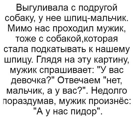 Выгупивапа с подругой собаку у нее шпиц мальчик Мимо нас проходил мужик тоже с собакойкоторая стала подкатывать к нашему шпицу Глядя на эту картину мужик спрашивает У вас девочка Отвечаем нет мальчик а у вас Недолго пораздумав мужик произнёс А у нас пидор