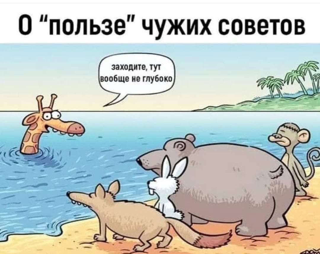 О пользе чужих советов шим т наши и тувмл