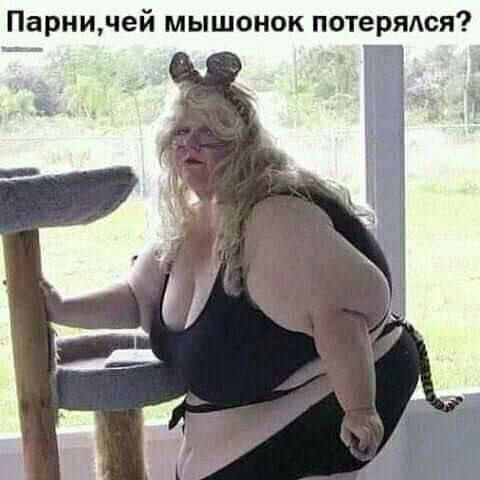 Парничей мышонок потерялся