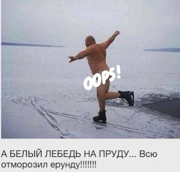 А БЕЛЫЙ ЛЕБЕДЬ НА ПРУДУ Всю отморозип ерунду