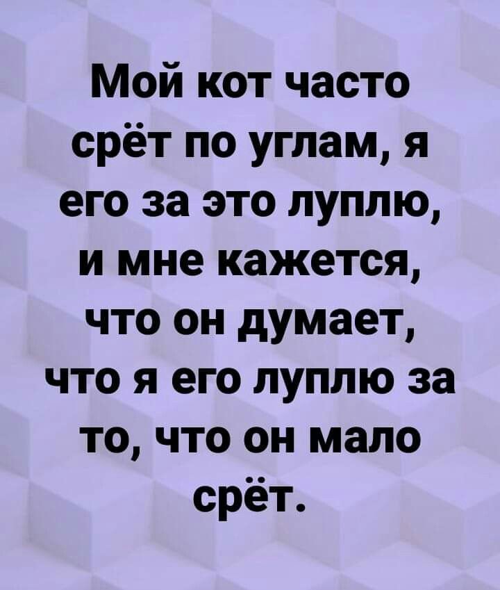 Мой кот часто срёт по углам я его за это луплю и мне кажется что он думает что я его луплю за то что он мало срёт