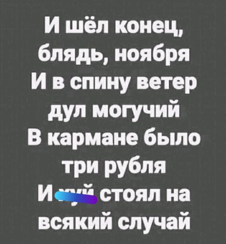 И шёл конец блядь ноября И в спину ветер дул могучий В кармане было три рубля Исуйстоял на всякий случай