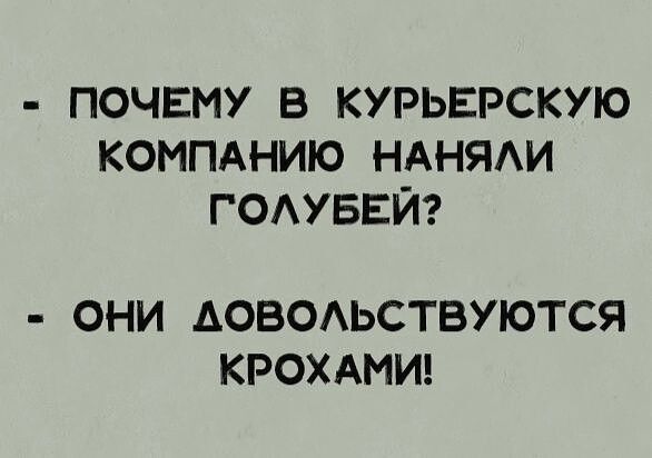 ПОЧЕМУ В КУРЬЕРСКУЮ КОМПАНИЮ НАНЯАИ ГОАУБЕЙ ОНИ АОВОАЬСТВУЮТСЯ КРОХАМИ