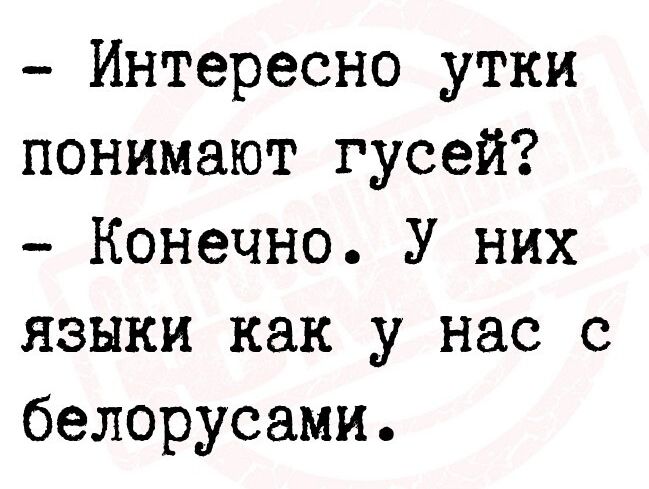 Интересно утки понимают гусей Конечно У них языки как у нас с белорусами