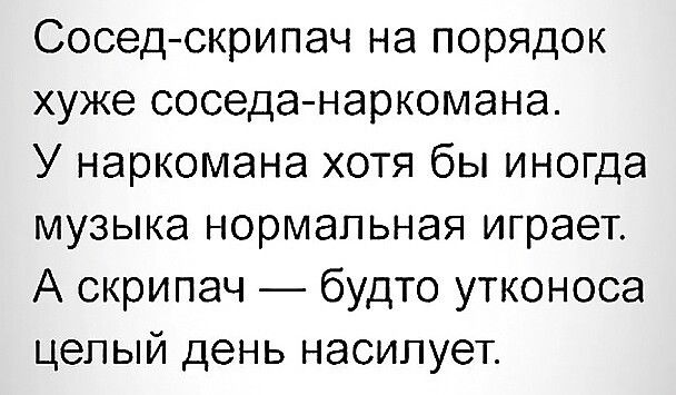 Соседскрипач на порядок хуже соседанаркомана У наркомана хотя бы иногда музыка нормальная играет А скрипач будто утконоса целый день насилует