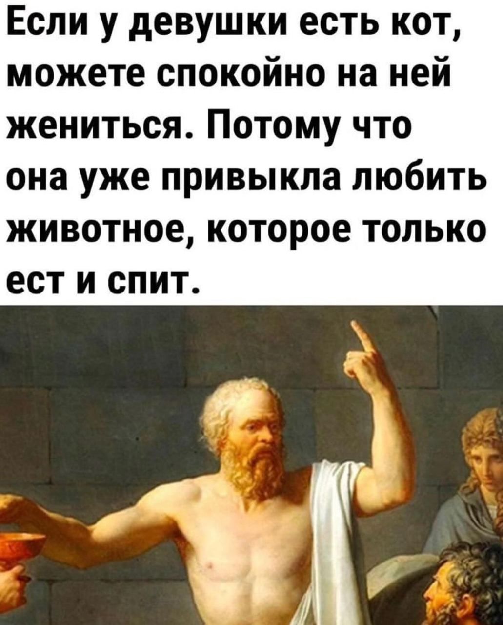 Если у девушки есть кот можете спокойно на ней жениться Потому что она уже привыкла ЛЮБИТЬ ЖИВОТНОЕ КОТОРОЕ ТОЛЬКО ест И СПИТ