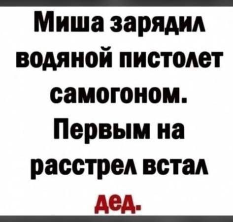 Миша зарядил водяной пистолет саиотоном Первым на расстрел встал дед