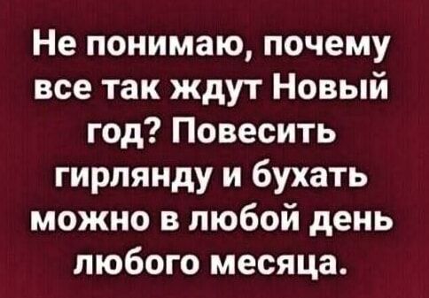 Не понимаю почему все так ждут Новый год Повесить гирпянду и бухать можно в любой день любого месяца