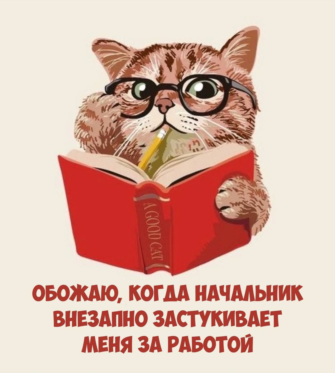 ОБОЖАЮ КОГДА НАЧАЛЬНИК ВНЕЗАПНО ЗАСТУКИВАЕТ МЕНЯ ЗА РАБОТОЙ