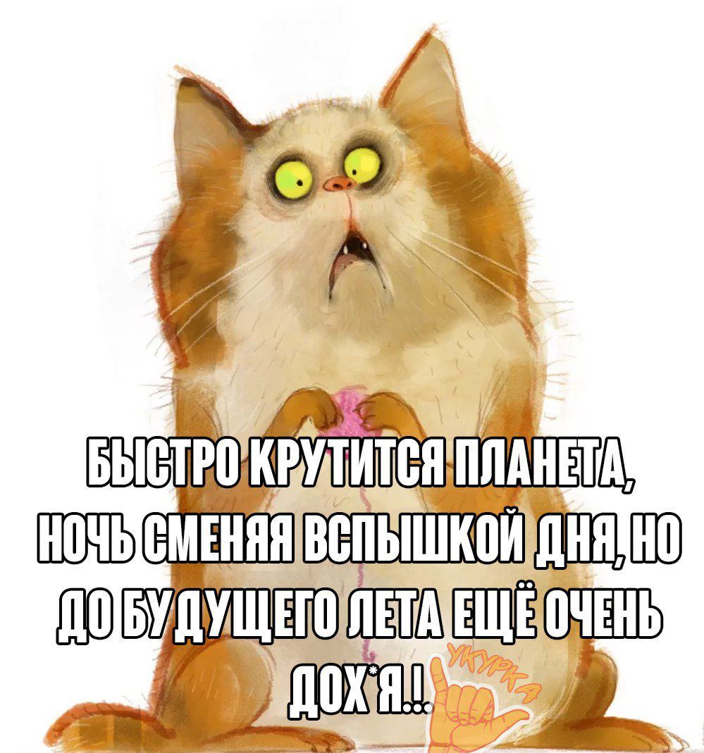 5 а вы ЁЁШЗЩ НШЫНКНВ НЕини