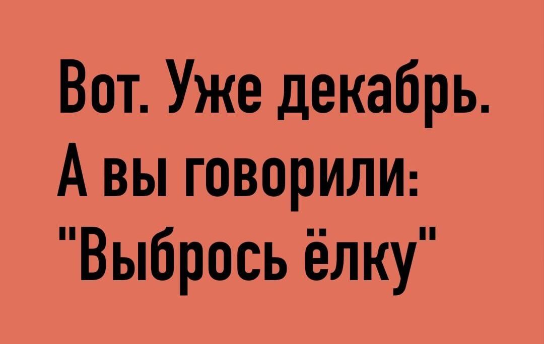Вот Уже декабрь А вы говорИЛИ Выбрось ёлку