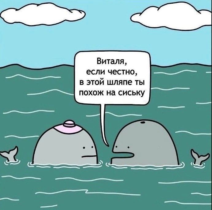 Виталя если честно в этой пшяпе ты
