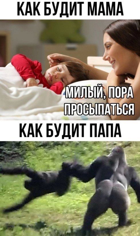 КАК БУДИТ МАМА