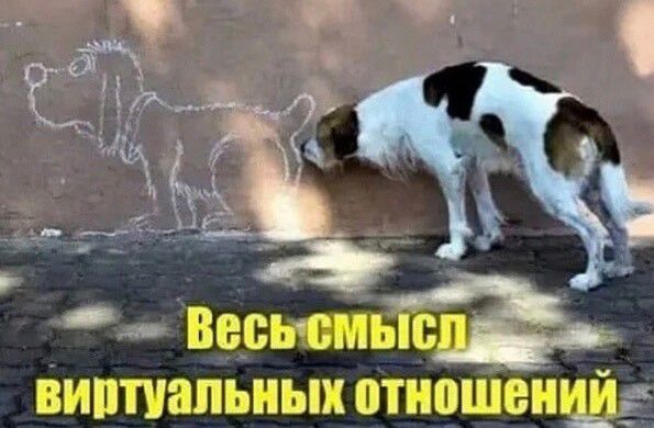 ВИППЗПЬИЫХ ППЮШБШШЁ