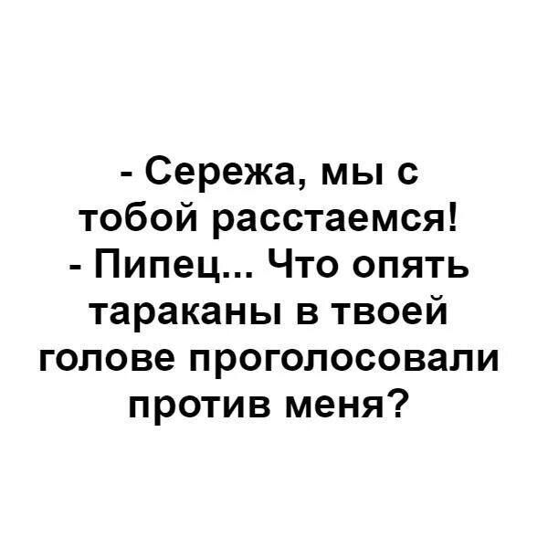 Сережа мы с тобой расстаемся Пипец Что опять тараканы в твоей голове проголосовали против меня